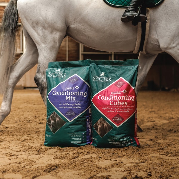 SPILLERS Shine Plus Conditioning Mix