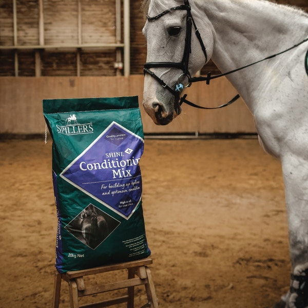 Shine Plus Conditioning Mix Front
