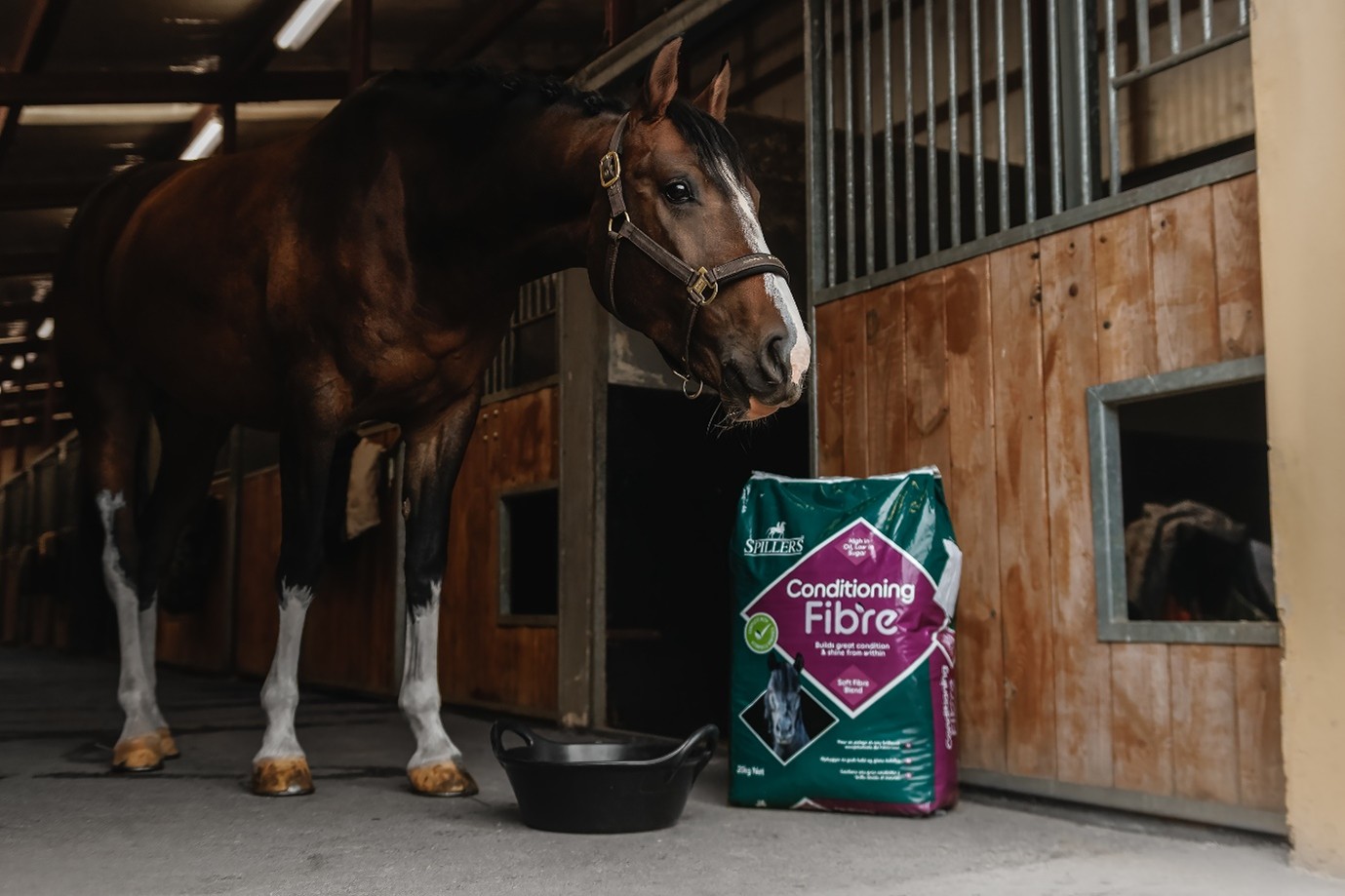 horse in a stable with a bag of conditioning fibre