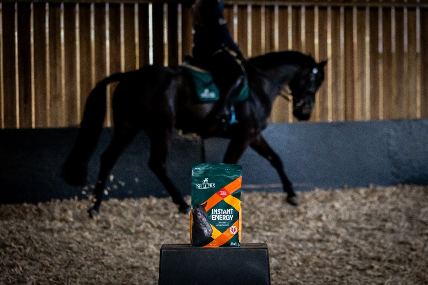 black horse running behind a bag of spillers