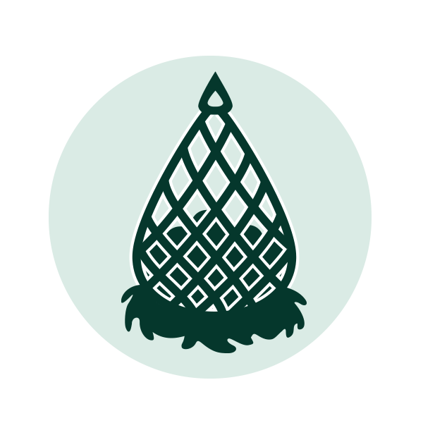 Alt Image