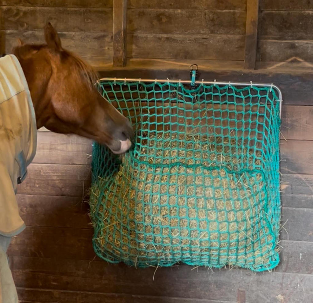 keep horse slim