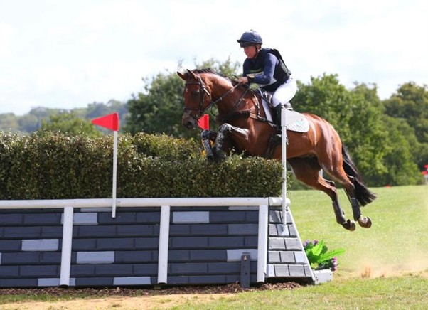 amy harris and horse