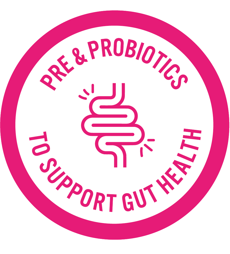 Pink_Gut_Health_Icon.png