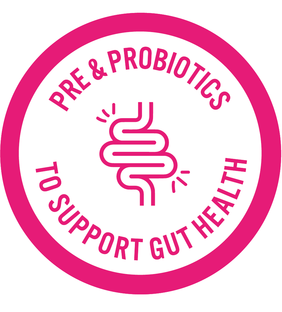 Pink_Gut_Health_Icon.png