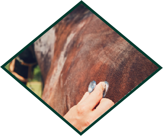 Colic Diamond Image