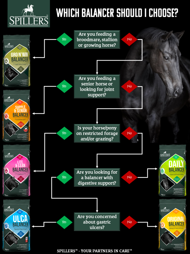 Build & Shine (Simple System Horse Feeds) - Equine Nutrition Analysis