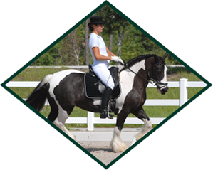 Ridden cob dimond