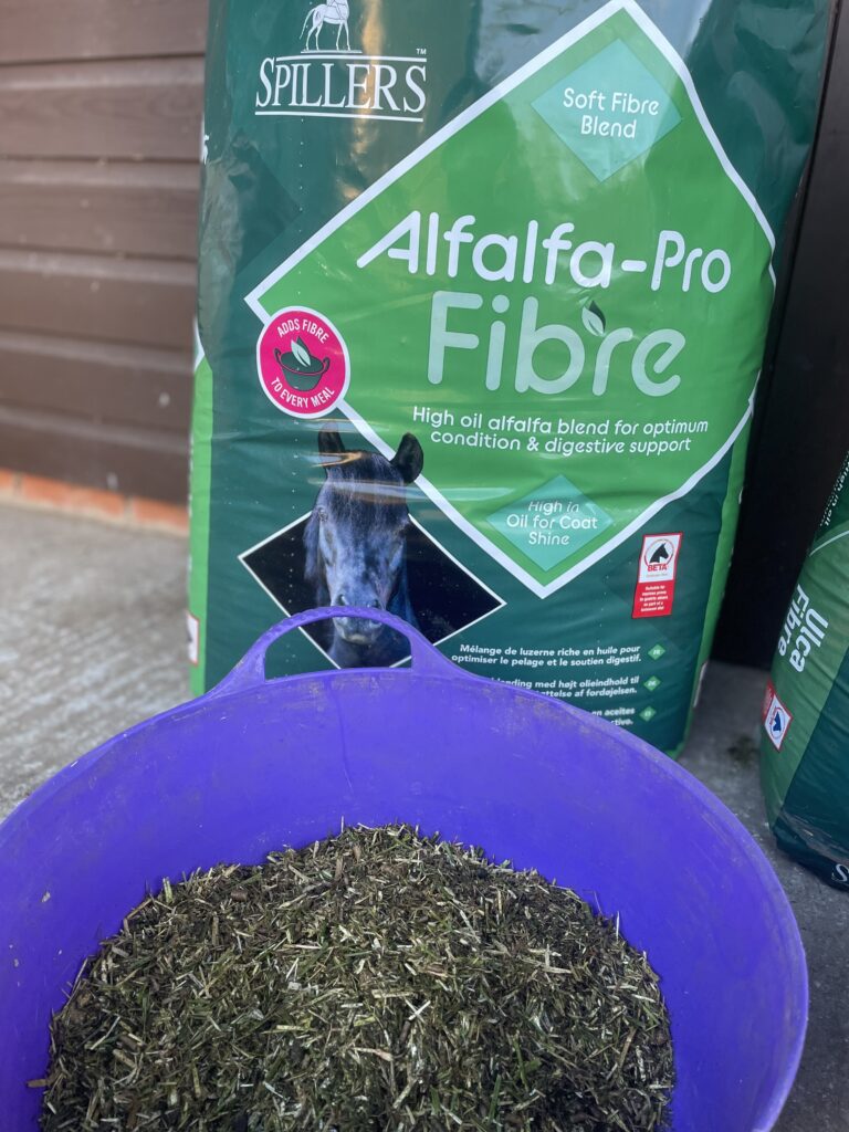 alfalfa chaff for horses in a feed bucket 