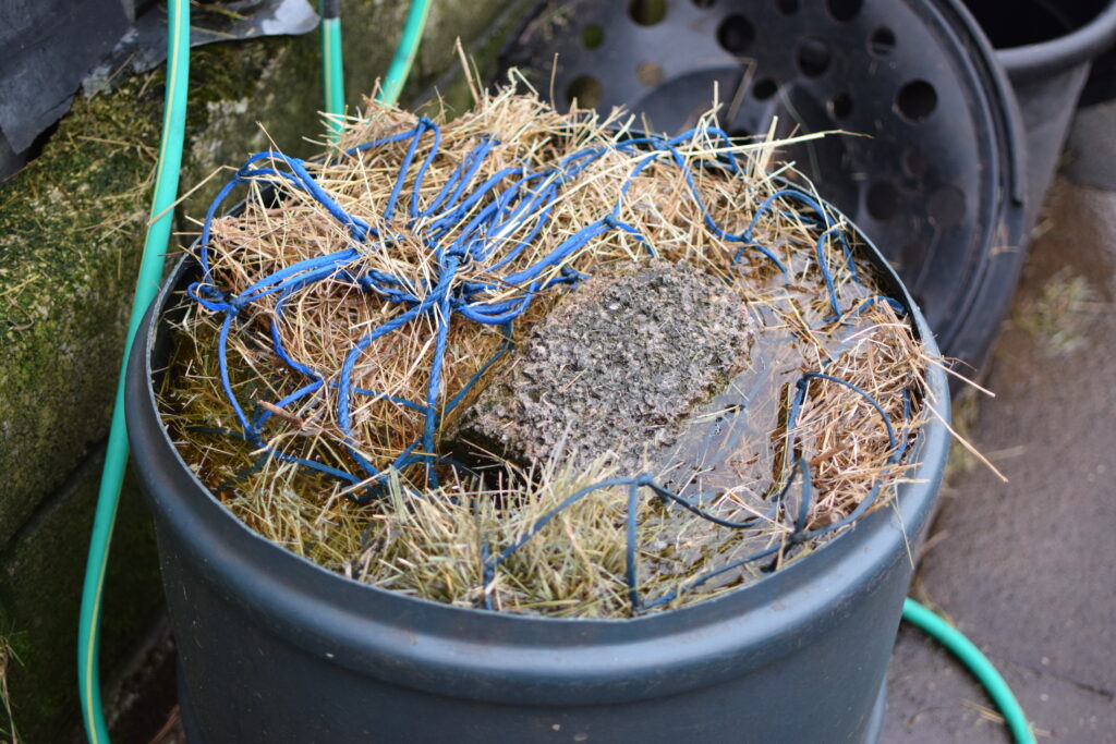 hay soaking for horses prone to laminitis and/or obesity