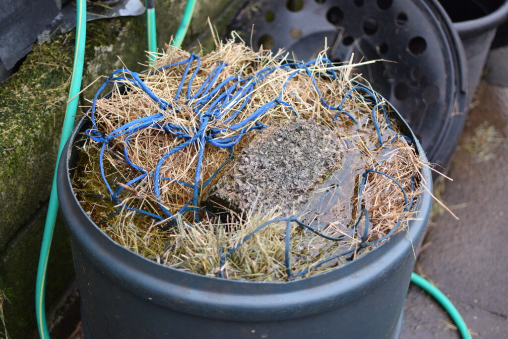 hay soaking for horses prone to laminitis