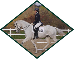 Super silver A.Shirtcliffe diamond