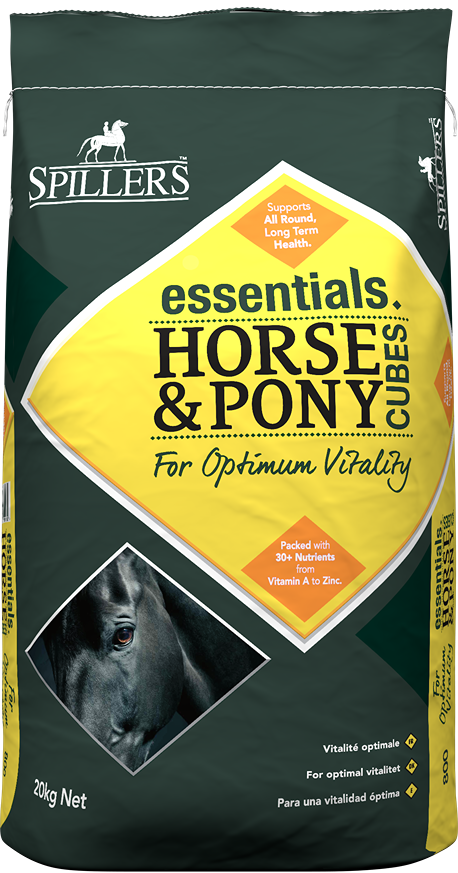 essentials Horse & Pony Front
