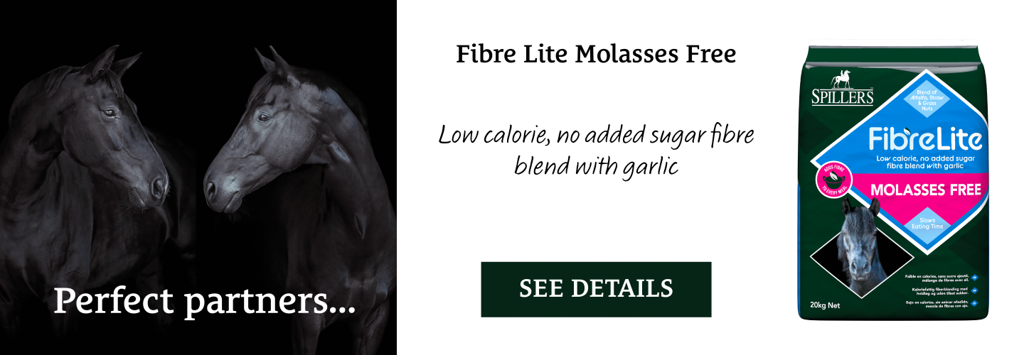 fibre-lite-molasses-free