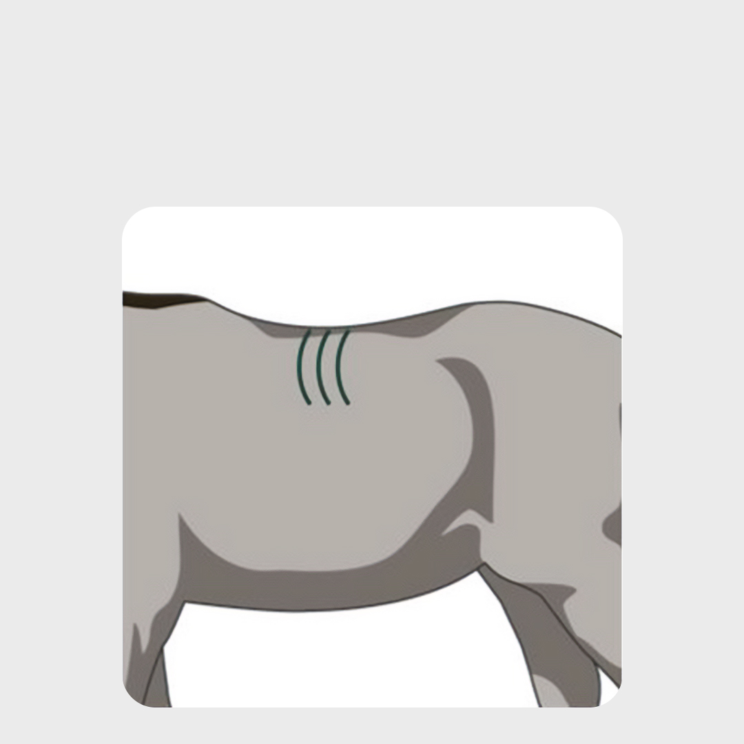 Alt Image