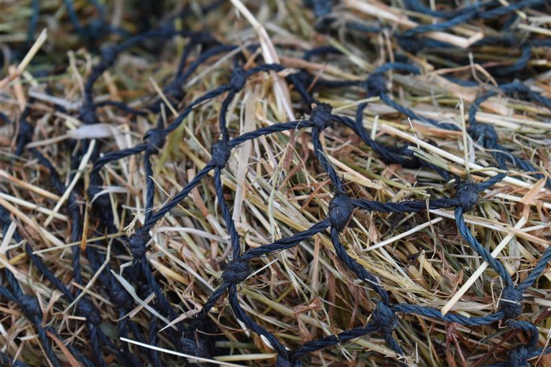 Nutrient Digestibility_2