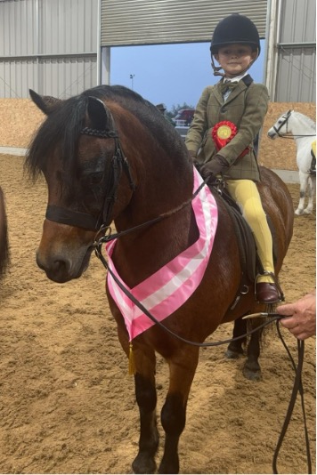 Scarlet at HOYS