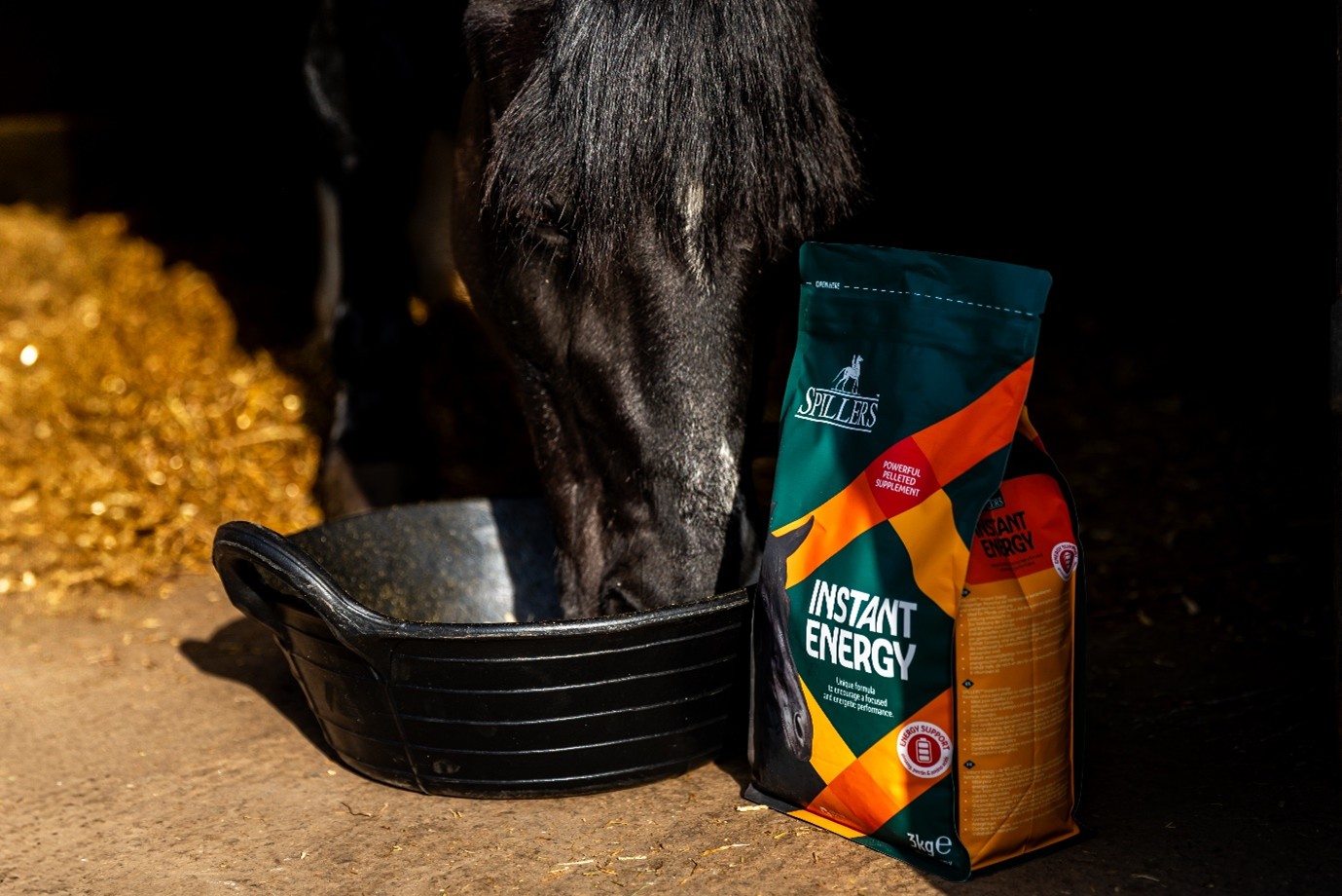 Horse feeding with Spillers Instant Energy