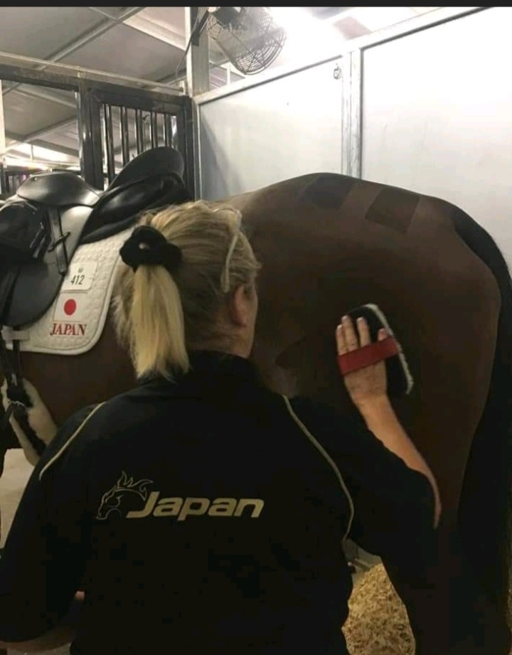 Jackie Potts Brushing brown horse