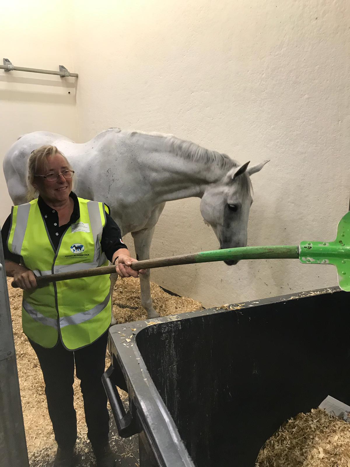 Jackie Potts shoveling hay next to white horse
