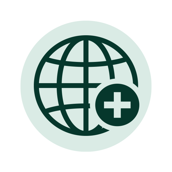 Global Expertise Icon