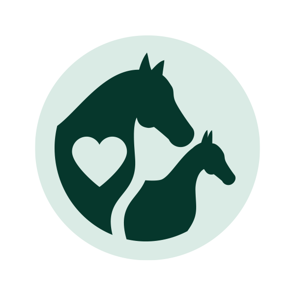 Every Horse Icon