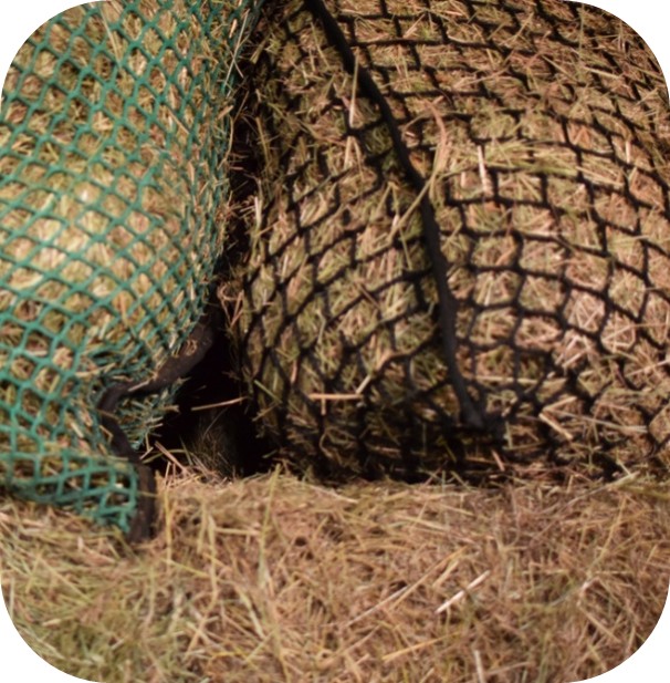 Hay nets filled with forage for controlled horse feeding