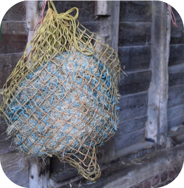 Hay net filled with forage hanging against a stable wall for horse feeding.