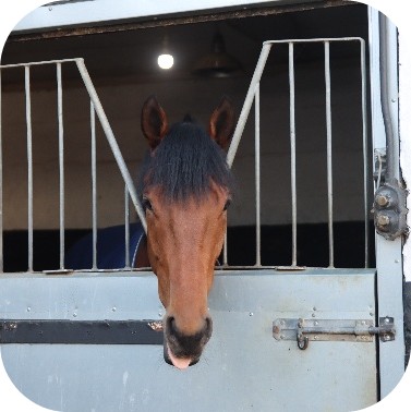 Avoid rest days and box rest