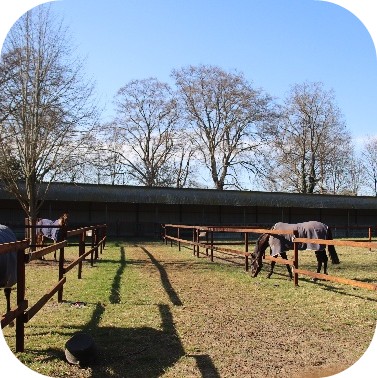 reduce stress during work