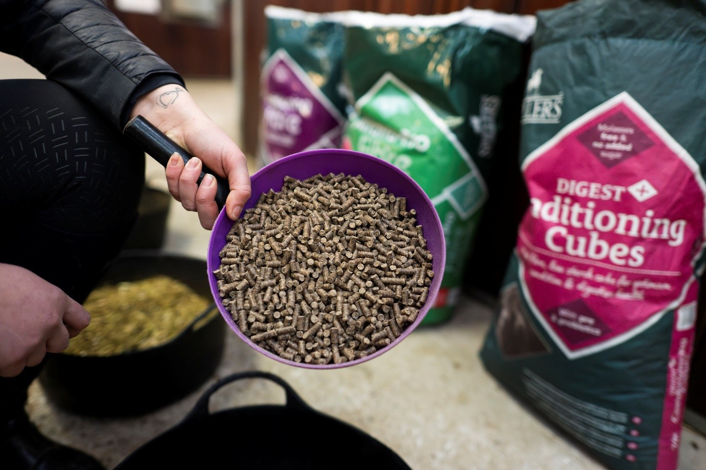 Person holding a measurement of spillers horse feed