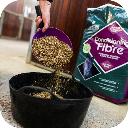 conditioning fibre added to horse feed