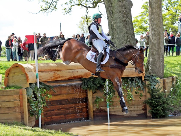 horse jumping on an obstacle course