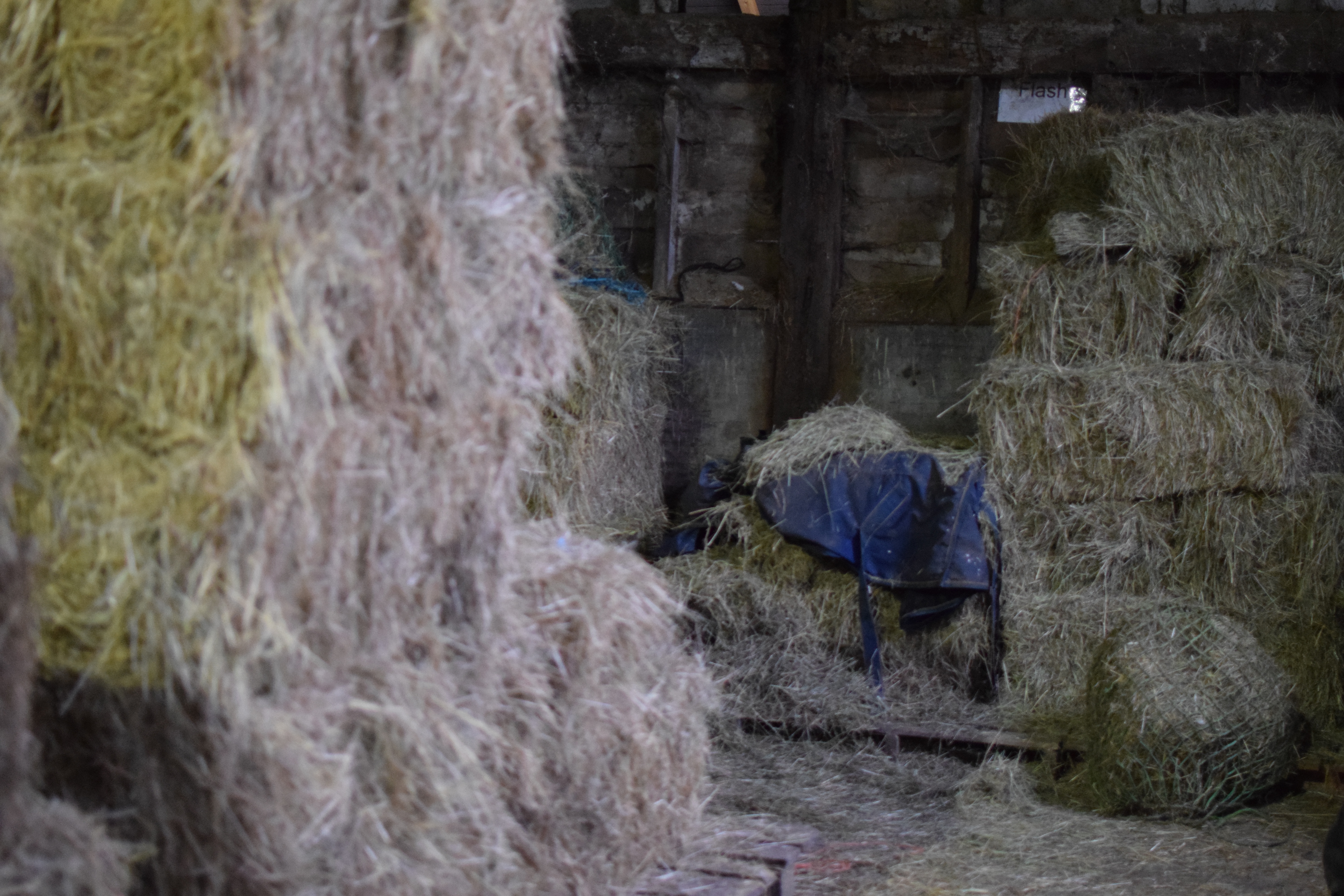 stable fill of hay