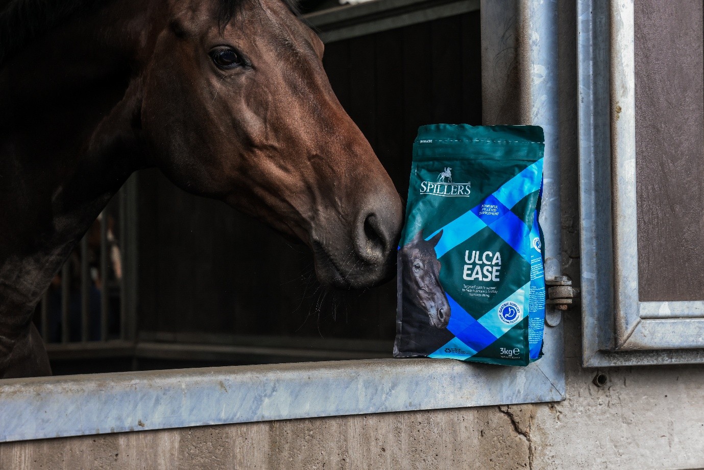 Horse next to a bag of spillers ucla ease