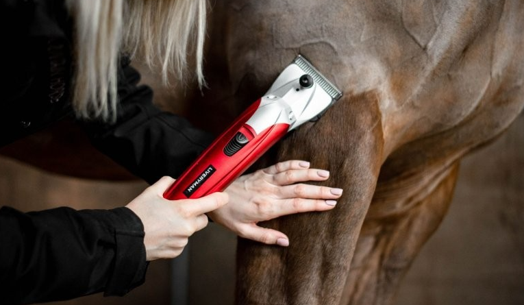 woman clipping horse hair
