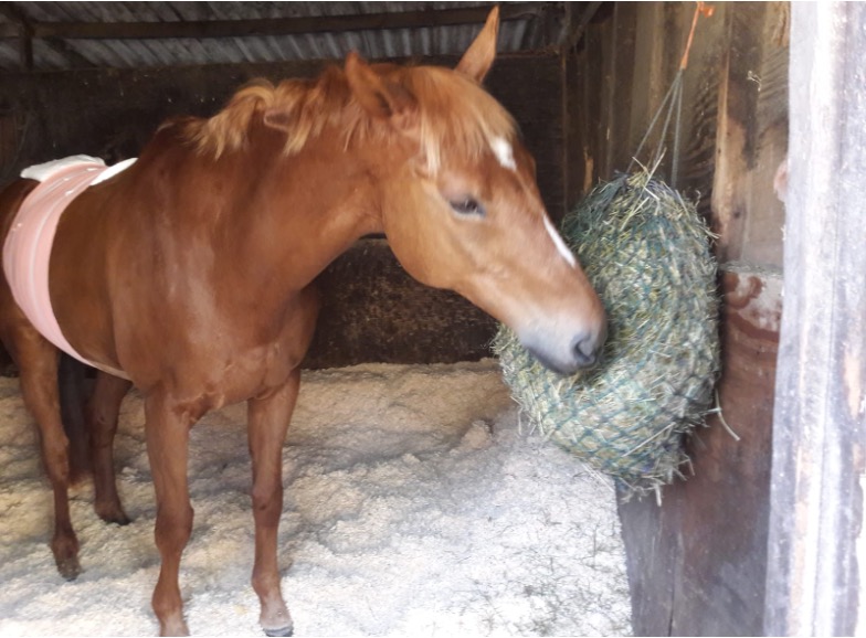 Feed and Management Tips