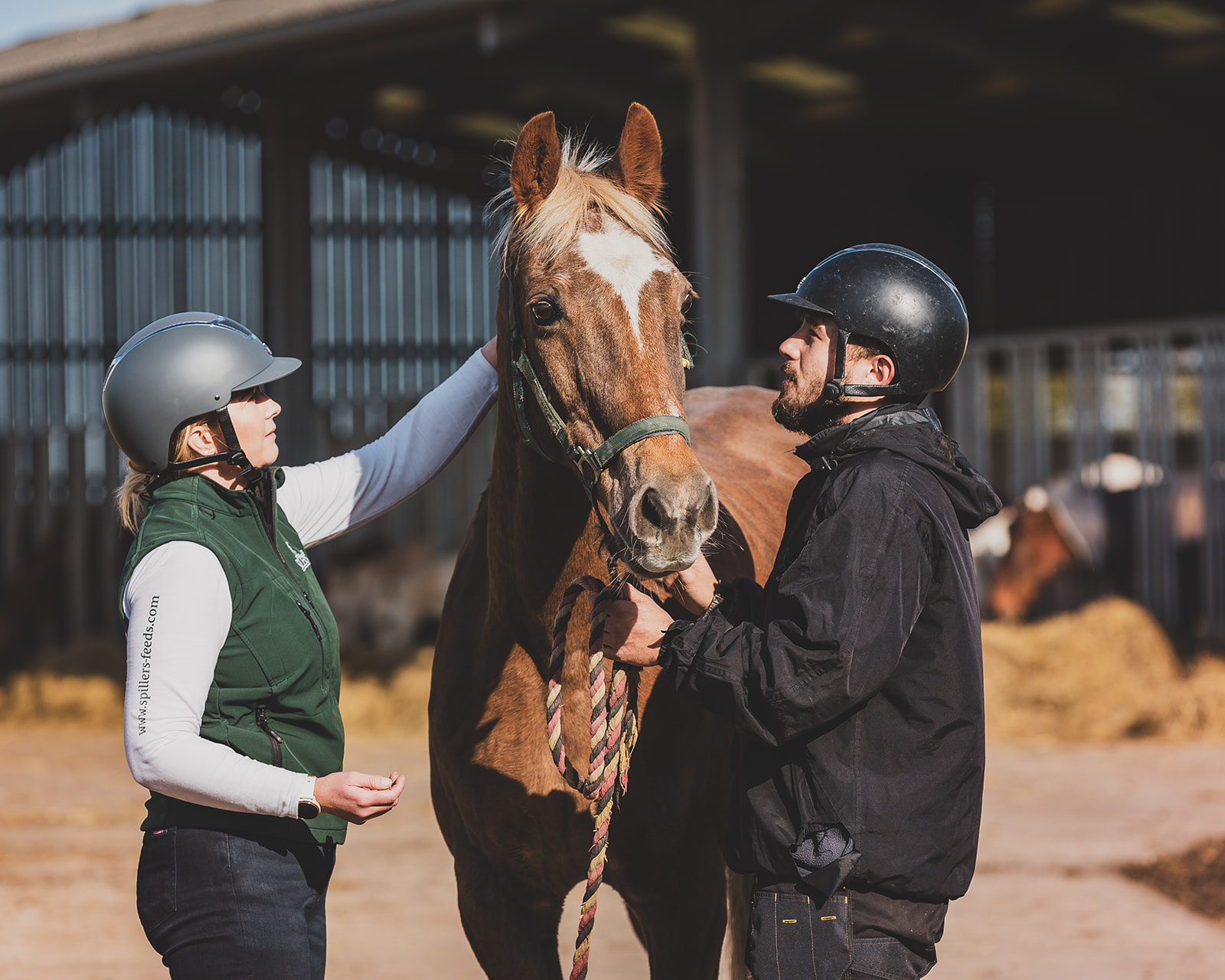 two people caring for a senior horse