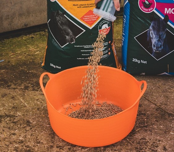 feed management for horses