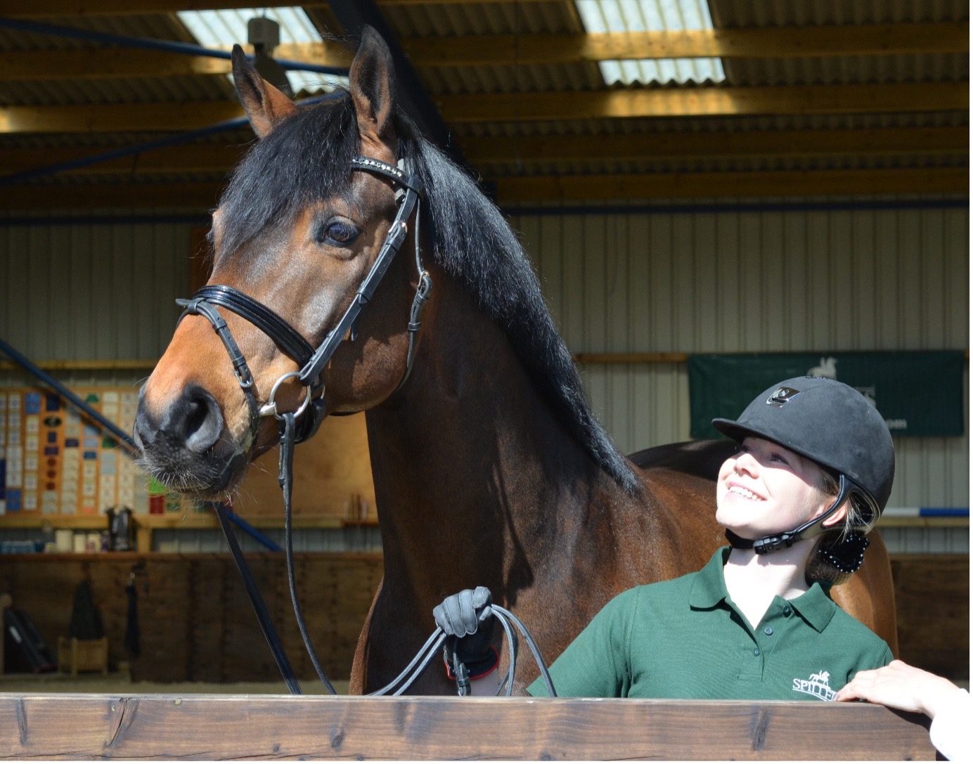 Feeding a Competition Horse