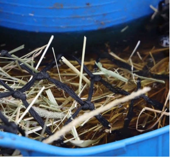 Hay Soaking Tip 3