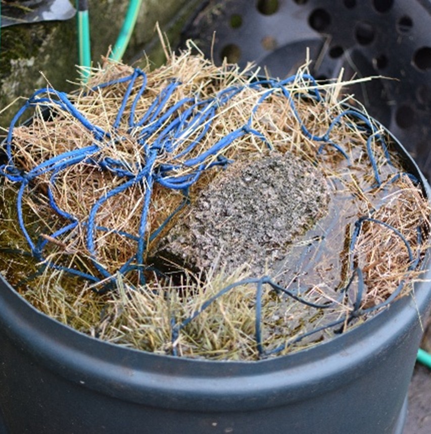 The Science of Hay Soaking