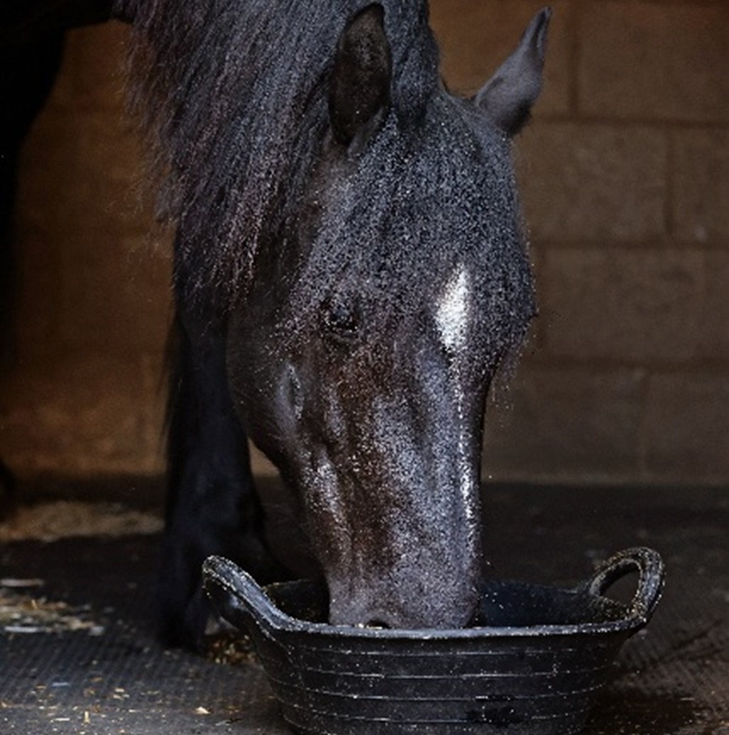 Balanced Diets for Good Doers