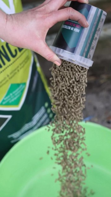 Additives for horse feed