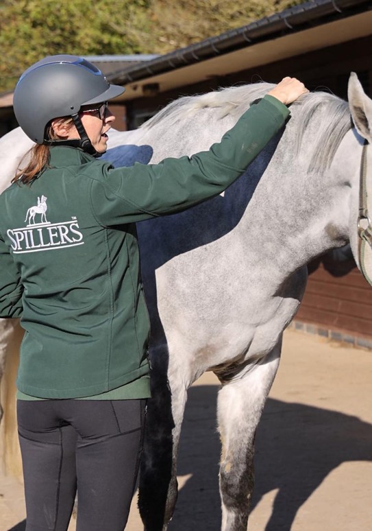 Methods for Assessing your horse’s condition