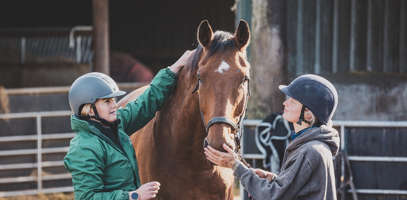 two people evaluating a horse's body condition