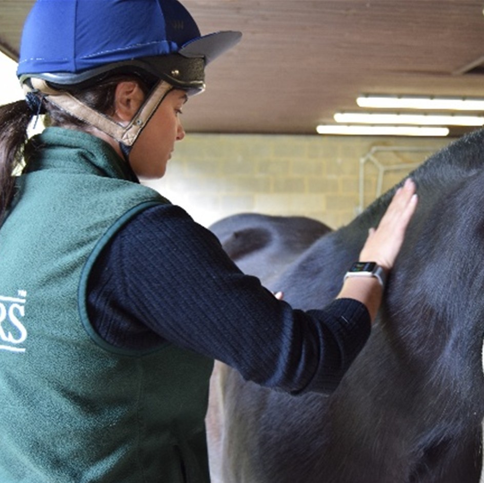 body conditioning scoring