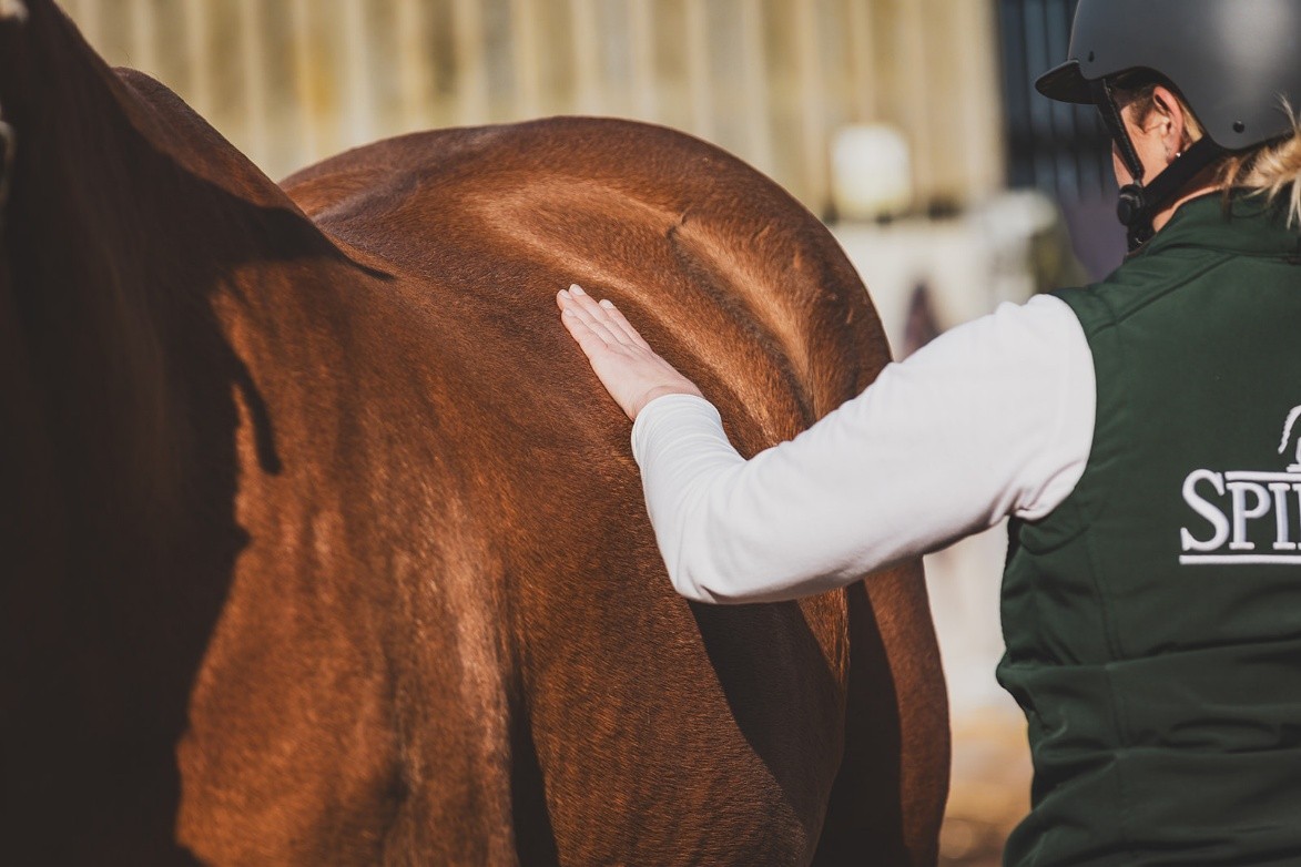 A body condition score 