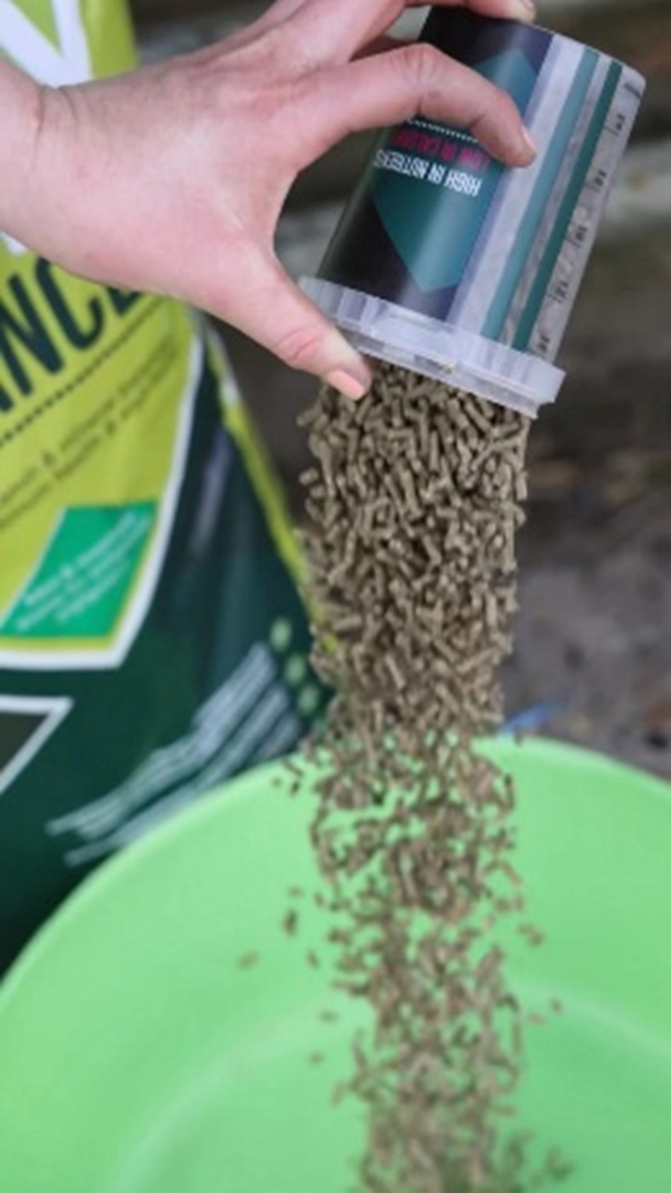 horse feed addititve for energy