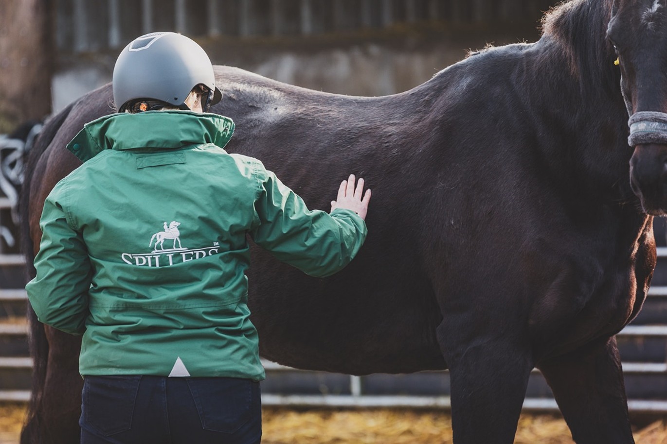 Body condition scoring for horses